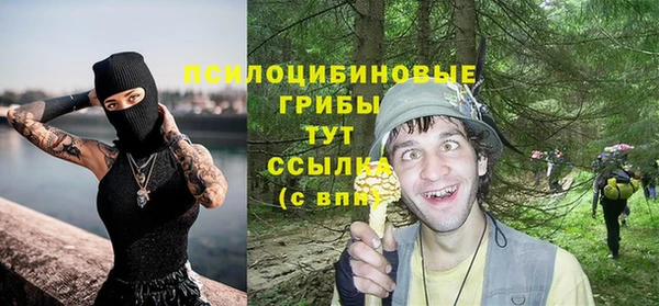 метадон Алексин