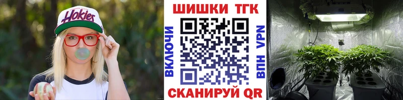 Конопля сатива  где можно купить   Западная Двина 